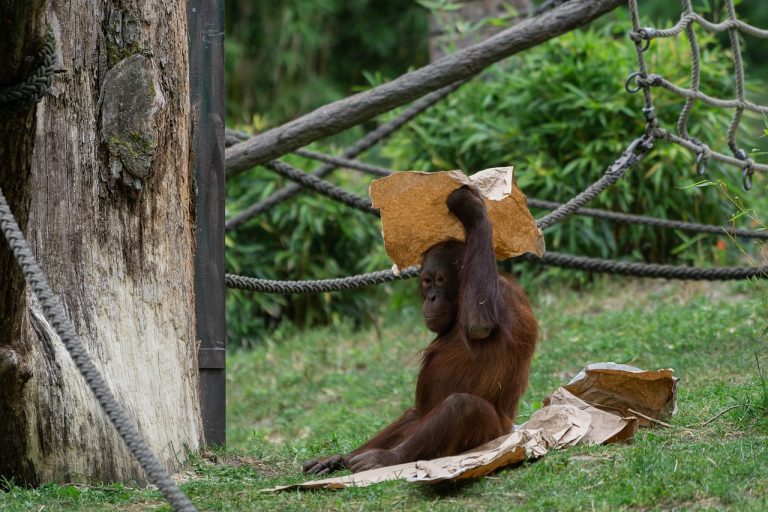 Panduan Pembayaran Biaya Pembuatan Paspor di Imigrasi Batam 2025